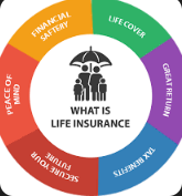 Life Insurance